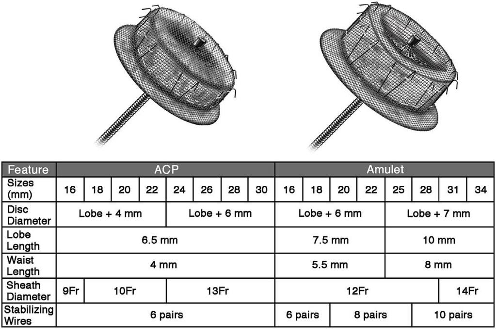 Amplatzer Cardiac