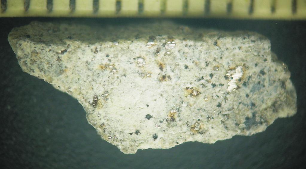 110 Średni ciężar atomowy chondrytu Sołtmany, chondrytów L6 i minerałów pozaziemskich Rys. 1. (a) Obraz optyczny i (b) obraz BSE meteorytu Sołtmany. Skala milimetrowa.