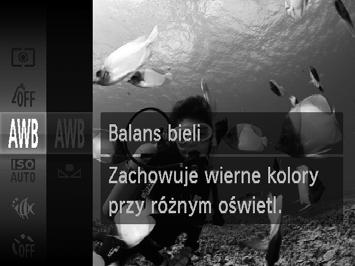 Szczególne scenerie Zdjęcia Filmy Korygowanie balansu bieli Balans bieli można korygować ręcznie w trybie S (str. 83).