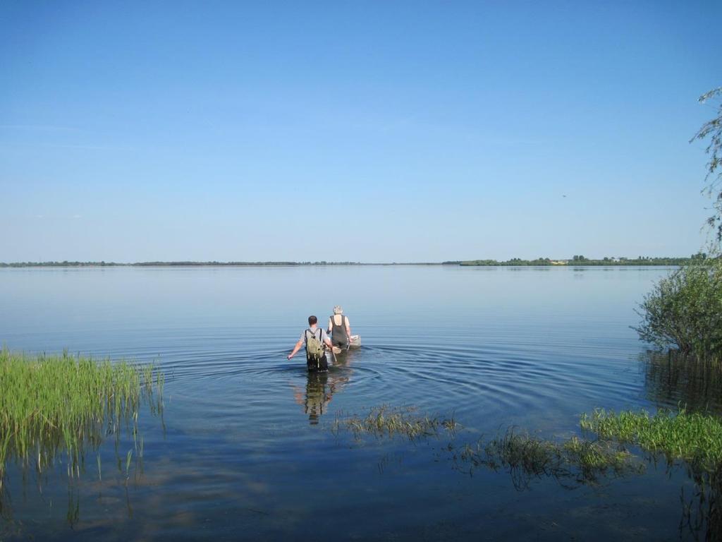 3. Jakość wód W Programie ochrony środowiska województwa łódzkiego 2012 określono priorytety dotyczące ochrony zasobów wód powierzchniowych przez: racjonalne gospodarowanie wodami, ochronę wód przed