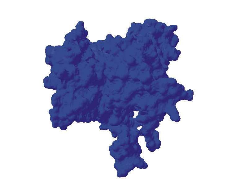 glutaminian glutamate dokowanie structure