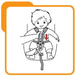 EN 4.3 Loosening the safety harness The straps can be loosened by pushing the lever (under the pad of the seat) at the front of the baby seat.