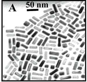 Sprzężenie plazmonowe w nanoprętach Au Dodanie kwasu 3-merkaptopropionowego lub
