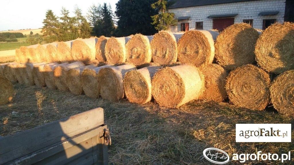 .pl https://www..pl Nie sprzedaję słomy, tylko traktuję ją jako źródło próchnicy mówi Marek Węgrzyn, rolnik ze Strzelec Opolskich. (fot. AgroFoto.