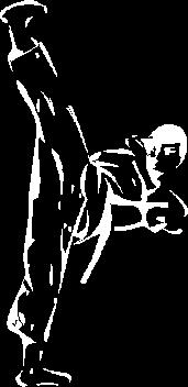 Ronin Tang Soo Do