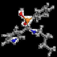 PyNH kwas -(-pirydylo)--[(n-benzylo)amino]- Kolejnym celem pracy było dokonanie charakterystyki procesów adsorpcji badanych