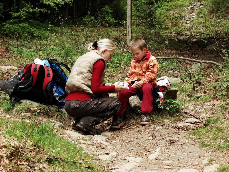 Tu mała sugestia, jak wspominałem powyżej oba szlaki wiodą razem i w tym samym przebiegu, aż do momentu gdy szlak czerwony odbija w prawo w kierunku rezerwatu Pilsko i dalej hali Miziowej - co będzie