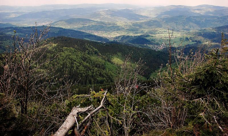 ...widoki na Beskid Żywiecki ze zboczy Pilska Przydatne linki: