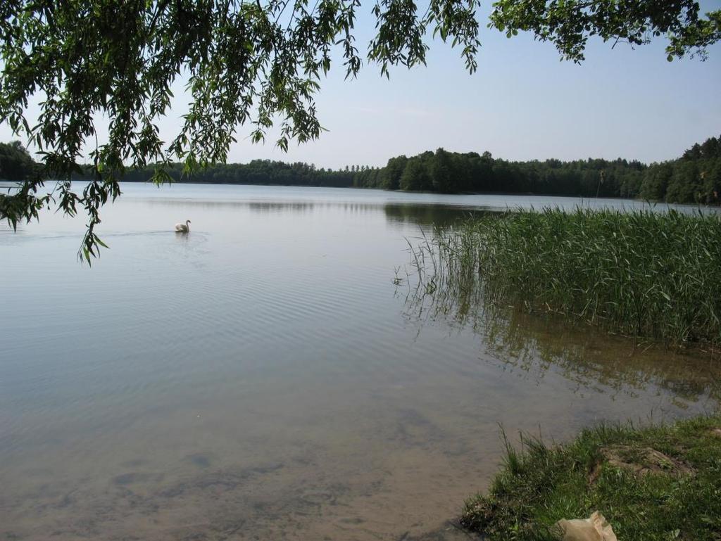JEZIORO SKANDA Położenie jeziora dorzecze: Kanał Klebarski Kierma