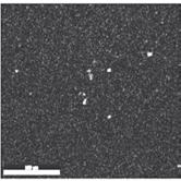 6 Ry 8 Rozkład głównych pierwiastów stopowych w obszarze linii wtopienia ig 8 Distribution of main alloing elements in the fusion line zone Pod mowanie na podstawie przeprowadzonych badań można