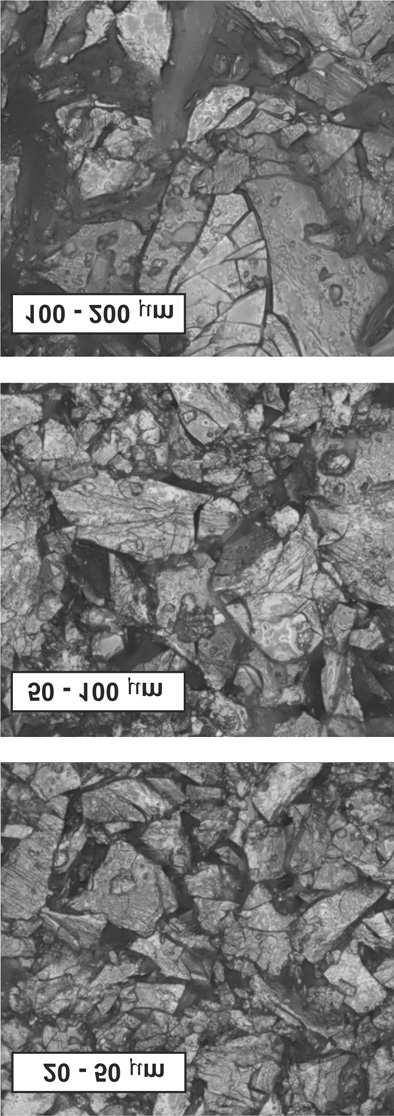 58 Marcin NABIA EK Rys. 2. Zdjêcia powierzchni badanych próbek dla trzech analizowanych frakcji Rys. 1.
