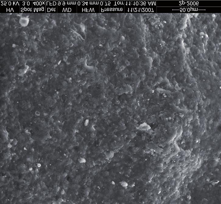 1200x) (Photo M.A. Jóźwiak) Fot. 7. Zanieczyszczenia na powierzchni plechy Hypogymnia physodes eksponowanej na osiedlach (pow. 400x) (Fot. M.A. Jóźwiak) Photo 7.