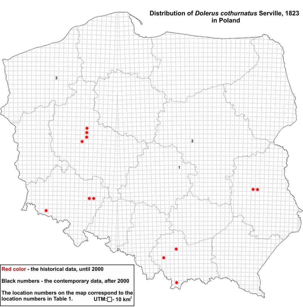 Host plant: Equisetum spp. Geographical distribution: Palearctic species occurs in almost all of Europe and Siberia, where it reaches Sakhalin and the Kamchatka Peninsula (Haris 2000; Taeger & al.