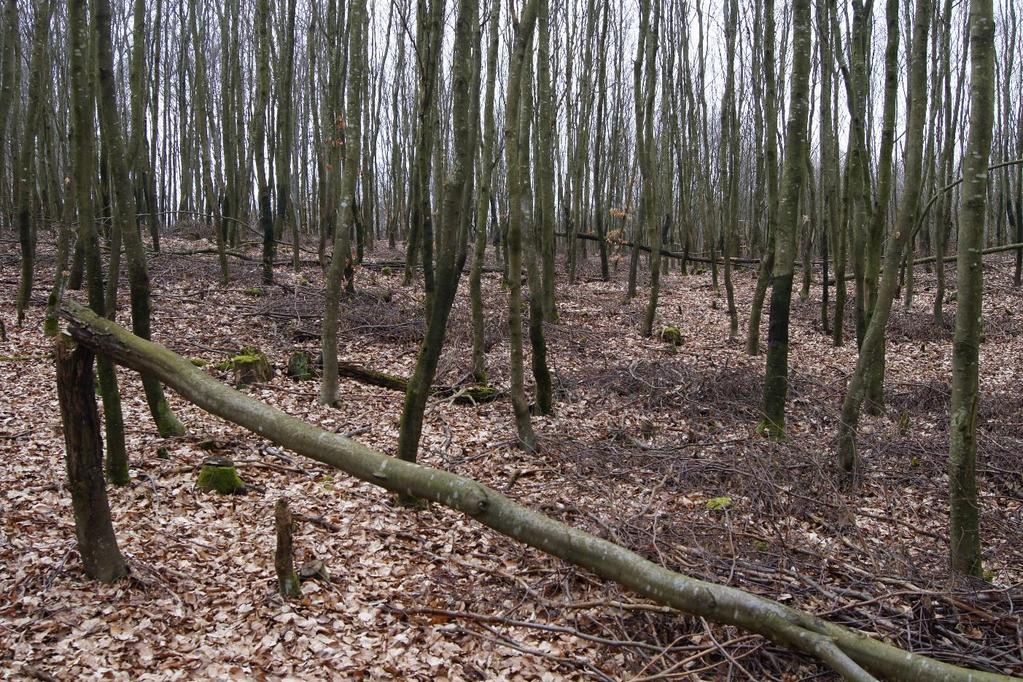 Konsekwencje powodowanych uszkodzeń Zagrożenie trwałości