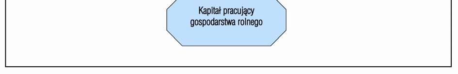 Po odjęciu amortyzacji od wartości dodanej brutto uzyskuje się wartość dodaną netto gospodarstwa rolnego.