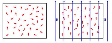 a) b) Rys.2. a) Paramagnetyk w polu magnetycznym[2], b) uporządkowanie magnetyczne paramagnetyków[5].