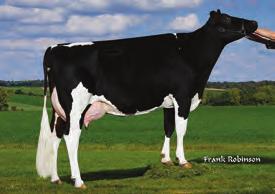 1% 416 kgb 123 WYKRES LINEARNY Ocena Źródło: CDCB/HA 4-17 99% Ocena Źródło: IB/MACE-USA 4-17 Przewaga mleka 882 lbs Przewaga białka 34 lbs.2% Przewaga tłuszczu 54 lbs.