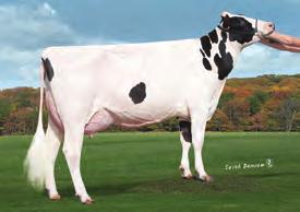 SEXED ULTRA 4M gender SELECTed is a trademark of Select Sires Inc.