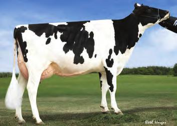 Ocena Źródło: CDCB 4-17 Przewaga mleka 989 lbs Przewaga białka 53 lbs.9 % Przewaga tłuszczu 53 lbs.6 % Ocena Źródło: CDCB/HA 4-17 76% 75% 1.68 1.92 1.