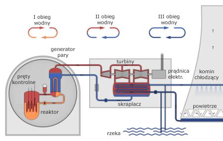 To właśnie dzięki energii wytwarzanej podczas reakcji możemy wytwarzać prąd elektryczny. Najważniejszym elementem elektrowni jest reaktor atomowy. Sercem reaktora jest rdzeń.