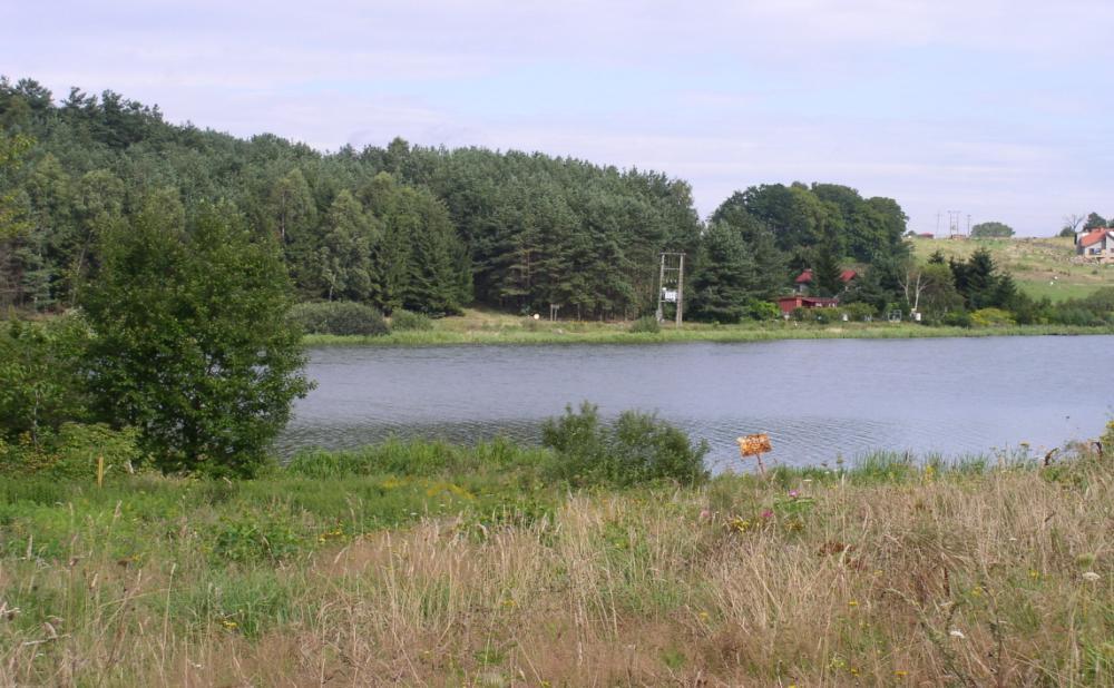 Wody zbiorników śródlądowych spełniały wymagania Rozporządzenia pod względem przydatności do kąpieli w odniesieniu do wskaźników bakteriologicznych.