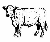 ZINTEGROWANY SYSTEM ROLNICZEJ INFORMACJI RYNKOWEJ (Podstawa prawna: Ustawa o rolniczych badaniach rynkowych z dnia 30 marca 200r.) Rynek wołowiny i cielęciny NR 4/200.