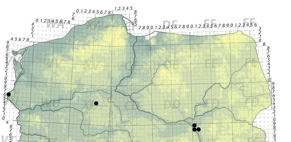 51 Gatunek ciepłolubny, często spotykany w siedliskach kserotermicznych (Wachmann i in. 2008; J.A. Lis i in. 2012).