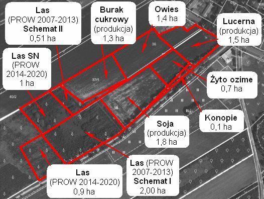 W przypadku, gdy Wnioskodawca deklaruje do premii pielęgnacyjnej grunt z sukcesją naturalną, wówczas w kolumnie 7 i/lub 8 i/lub 9 i/lub 10 wpisuje powierzchnię gruntu, na której wykonał zalesienie,