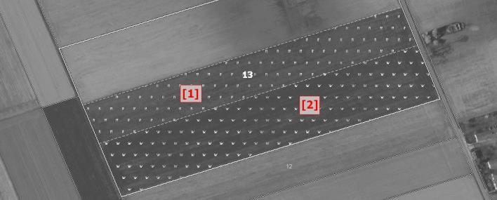 D.3 AKTUALIZACJA DANYCH LPIS - dotyczy - TRWAŁYCH UŻYTKÓW ZIELONYCH (TUZ) Przypadek II Opis - Przypadek II Fragment materiału graficznego przedstawia sytuację, w której na podstawie wskazań