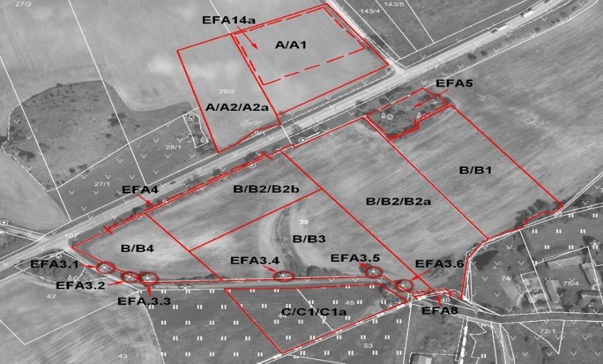 Pojedyncze drzewa oznacza się czerwonym kółkiem. Granice elementów EFA wykazywanych w metrach kwadratowych oznacza się czerwoną przerywaną linią.