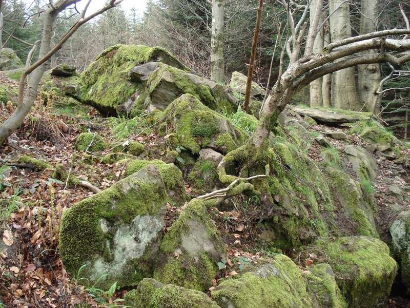 Strategia zarządzania dla obszaru Natura 2000