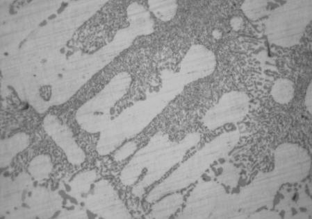 The microstructure of AlSi7 alloy: a) no modified; b) modification of AlTiB+Modal-1 +Cu; c) modification of Sb with AlTiB; d) modification Sb and LiCl and Cu. 6.