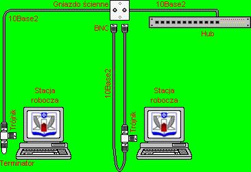 Przewód koncentryczny stosowany jest w sieci typu magistrala, standard 10 Base 2, 10 Base 5 w oparciu o ten standard należy stosować gniazda typu BNC, trójniki do podłączenia poszczególnych stacji
