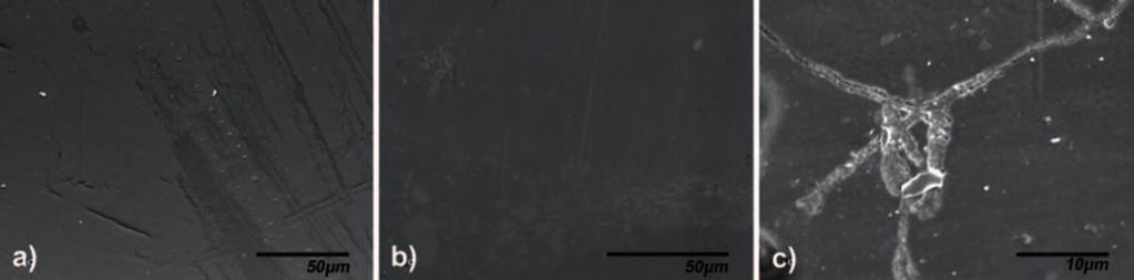Na fotografii 3 przedstawiono efekty degradacji materiału przez mikroflorę bakteryjną i grzybową po 14 dniach hodowli.