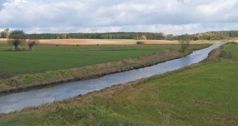 21 Biskupiec, Zioło, Rogowskie, Tonowskie), do Warty uchodzi w Obornikach. W Wągrowcu Wełna krzyżuje się z Nielbą.