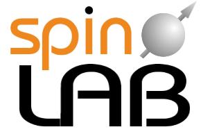 Podziękowania Nanoscale spin torque devices for spin electronics NANOSPIN Grant no.