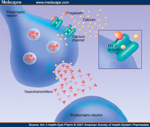 Mechanizm działania pregabaliny Aktywna substancja pregabalina to pochodna kwasu gammaaminomasłowego (GABA)[kwas(S)-3- (aminometylo)-5- metyloheksanowy].