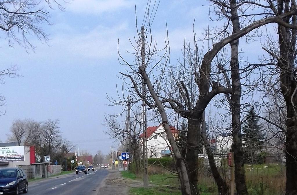 linie energetyczne kolidują z