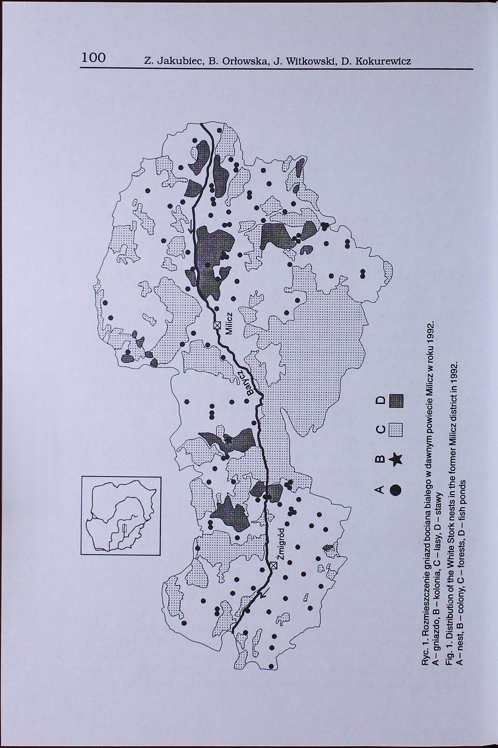 o Z. Jakubiec, B. Orłowska, J. Witkowski, D. Kokurewicz A BCD * Ryc. 1. Rozmieszczenie gniazd bociana białego w dawnym powiecie Milicz w roku 1992.