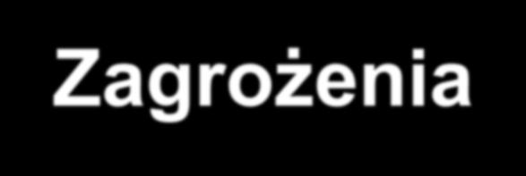 Zagrożenia Niechęć do wspólnego działania Nieufność sąsiedzka