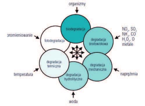 Open Access Library Volume 2 2011 okre lonych grup chemicznych. Łatwo hydrolizuj ce grupy estrowe, amidowe, mocznikowe przyspieszaj rozkład polimeru [222, 225]. Rysunek 2.1. Czynniki wpływaj ce na degradacj tworzyw polimerowych i jej rodzaje [173] Pomi dzy poszczególnymi rodzajami degradacji istniej silne powi zania.
