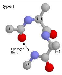 β - zgięcie