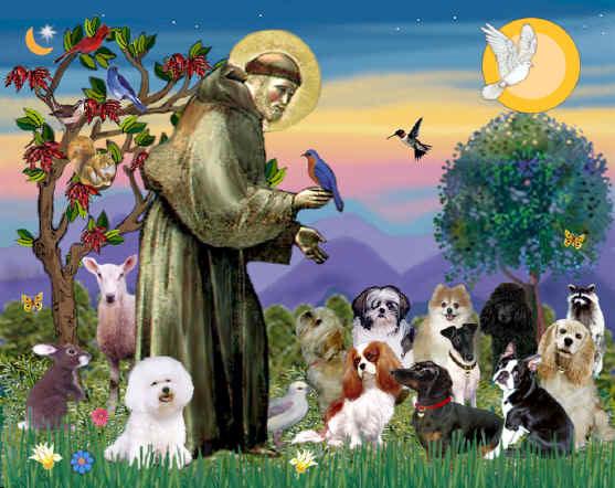 Po więcej informacji można dzwonić: Elżbieta 1-773-344-2150 Czesława 1-773-736-9532 ST. FRANCIS PET BLESSING In honor of St. Francis of Assisi we will have our annual animal blessing.