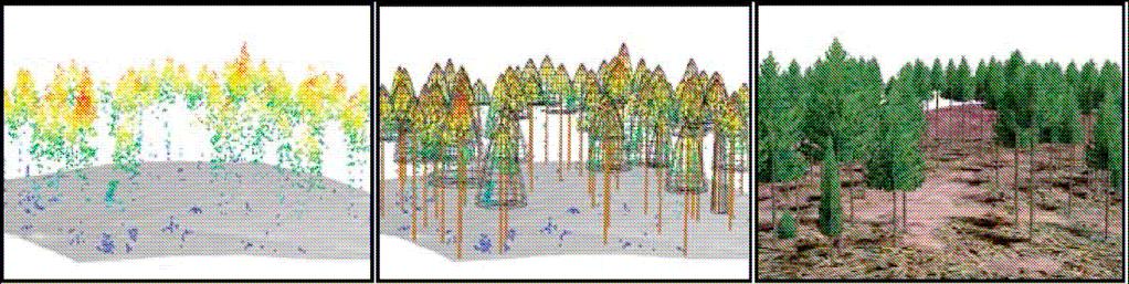 Rysunek 1 Lewy: dane o roślinności wydobyte z chmury punktów laserowych. Środkowy: wizualizacja oszacowanych koron i pni drzew. Prawy: rendering lasu (źródło (Rapp, 2005)).