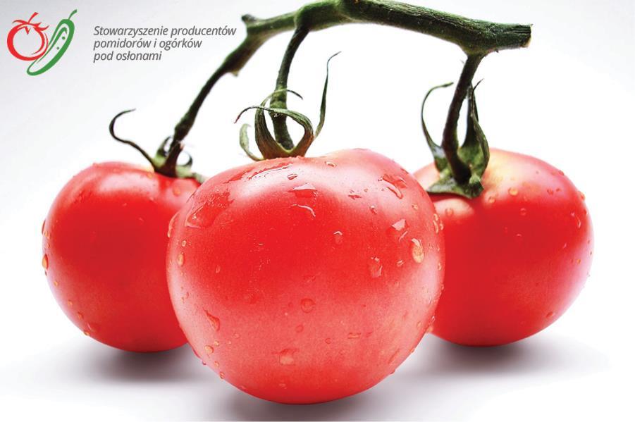 Specyfikacja Istotnych Warunków Zamówienia na przygotowanie i realizację trzyletniej kampanii promocyjno-informacyjnej dotyczącej pomidorów na rynku polskim,