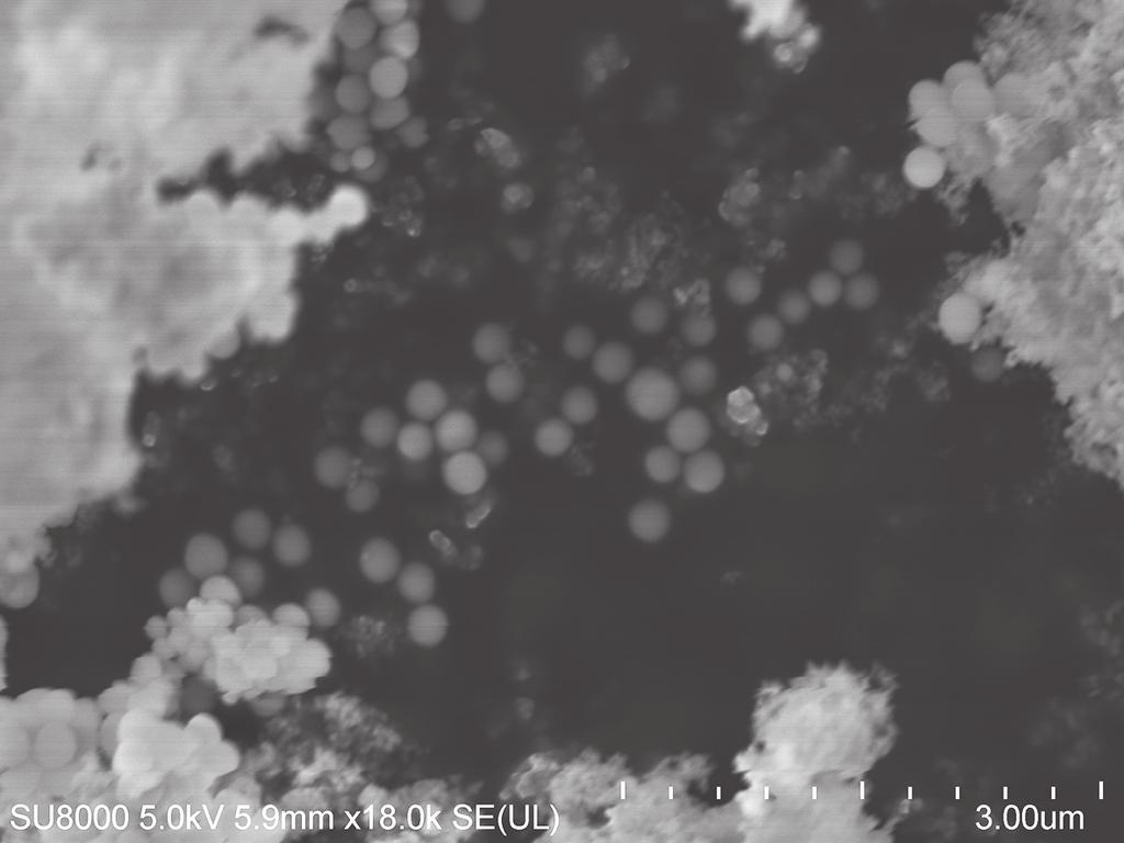 Rys. 3. Morfologia nanosfer krzemionkowych (nsio 2 ) pod elektronowym mikroskopem skaningowym Fig. 3. SEM micrograph of solid silica nanospheres (nsio 2 ) Rys. 4.