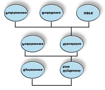 Pule dyskowe w systemie mogą się składać z wielu jednostek dyskowych. Dla systemu wyglądają one jak pojedyncze jednostki pamięci. System umieszcza dane na wszystkich jednostkach dyskowych.