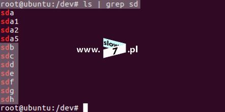 grep sd (polecenie wydajemy po przejściu do folderu /dev/).