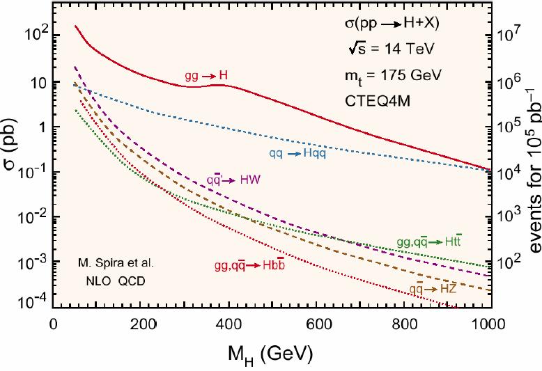 Produkcja cząstek Higgsa w LHC q