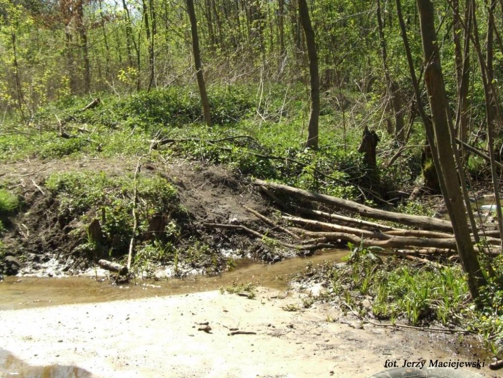 Przechodzimy nad strugą Żabnik. Przekraczamy most na rzece Widawie, dalej droga prowadzi przez pola i łąki na południe, stąd ładny widok na Chrząstawę. Do Chrząstawy wchodzimy ul.